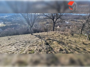  Teren de exceptie 3,1 ha intravilan | Panorama, utilitati, acces dublu | Sardu - imagine 6