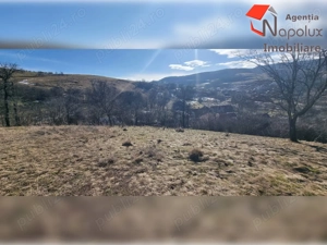  Teren de exceptie 3,1 ha intravilan | Panorama, utilitati, acces dublu | Sardu - imagine 9
