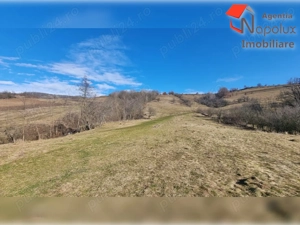  Teren de exceptie 3,1 ha intravilan | Panorama, utilitati, acces dublu | Sardu - imagine 8