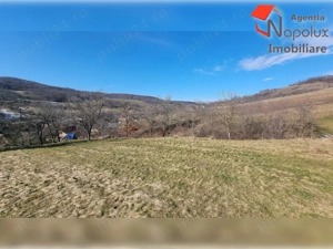  Teren de exceptie 3,1 ha intravilan | Panorama, utilitati, acces dublu | Sardu - imagine 10