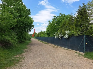 Vand 1 Ha livada in Baicoi - Tufeni - imagine 9