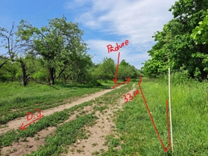 Vand 1 Ha livada in Baicoi - Tufeni - imagine 5
