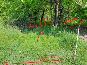 Vand 1 Ha livada in Baicoi - Tufeni - imagine 10