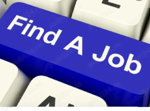 Caut Job  sofer cat. B. D.