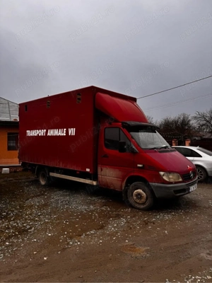 transport de animale vii autorizat