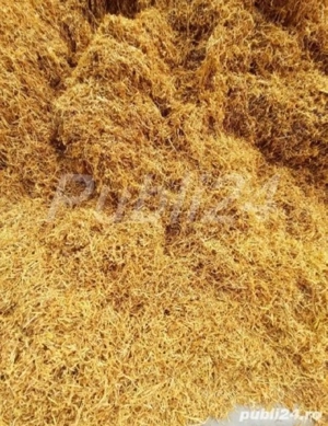 Tutun firicel și tocat