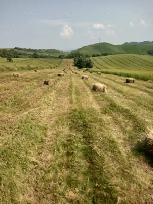 Vând baloți de fân 
