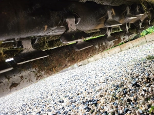 Tocător cu ciocane 2m  - imagine 5