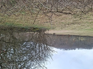 Vand teren intravilan - imagine 13