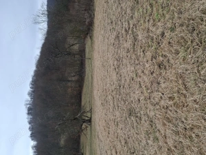 Vand teren intravilan - imagine 11