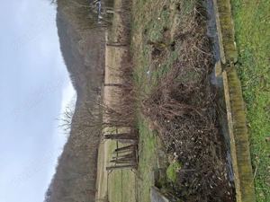 Vand teren intravilan - imagine 6