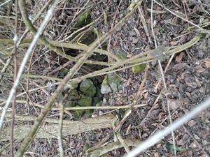 Vand teren intravilan - imagine 8