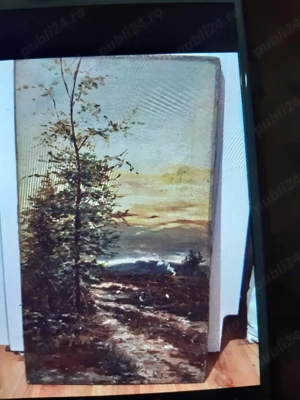 Tablouri de vânzare - imagine 5