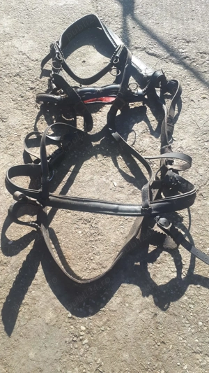 Ham piele pentru cai