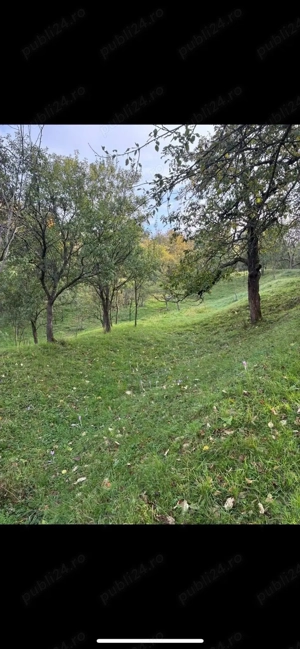 Casă cu 48 arii teren chiuzbaia ! - imagine 5