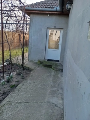 Murariu Mariana - imagine 3