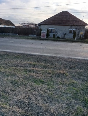 Murariu Mariana - imagine 5