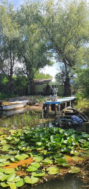 vând casa vacanta crisan delta dunarii  - imagine 4