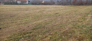 casa de vanzare lntre Zam și Săvârșin 6400 mp intravilan zonă foarte bună  - imagine 3