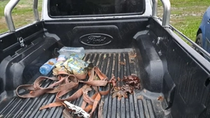 Ford.Ramger - imagine 6