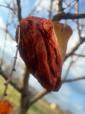 Vand jambon, sunca , slanina