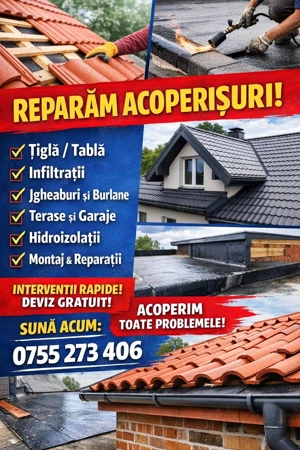 reparati acoperisuri 