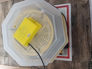 vand incubator Cleo 5