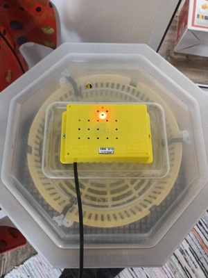 vand incubator Cleo 5 - imagine 4