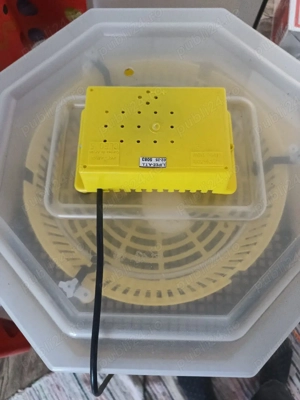 vand incubator Cleo 5 - imagine 3