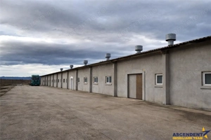 Hala industriala versatila,spatii cazare, platforma betonata,2.300 mp,Halchiu - imagine 6