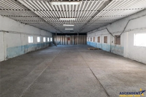 Hala industriala versatila,spatii cazare, platforma betonata,2.300 mp,Halchiu - imagine 2