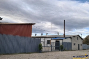 Hala industriala versatila,spatii cazare, platforma betonata,2.300 mp,Halchiu - imagine 3