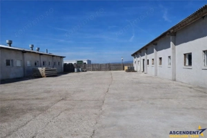 Hala industriala versatila,spatii cazare, platforma betonata,2.300 mp,Halchiu - imagine 5