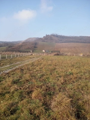 Teren de vanzare  - imagine 4