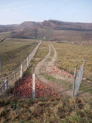 Teren de vanzare  - imagine 8