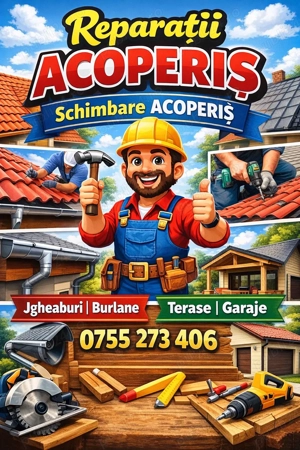 nu lasa acoperisul sa-ti distruga casa.repara rapid;
