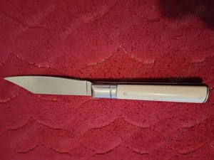 Vând bricege  - imagine 4