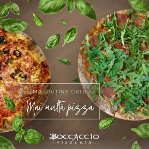 Ofertă Servicii Social Media