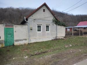 Vand casa Ciclova-Romana - imagine 4