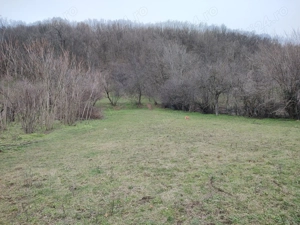 Vand casa Ciclova-Romana