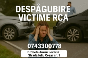 Birou Acte, Traduceri, Asigurări și Turism   Drobeta-Turnu Severin