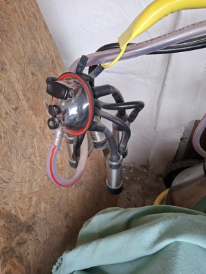 Aparat de muls vaci - imagine 4