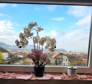   Apartament EXCLUSIVIST Prestige- DUPLEX pe 2 Niveluri | DESIGN 2025   - imagine 6