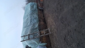 Baloți de vânzare  - imagine 3