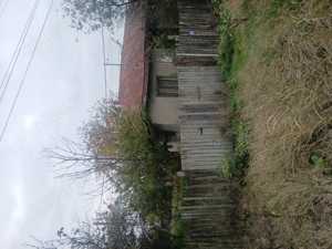 Casa de vânzare copaciu Giurgiu  - imagine 6