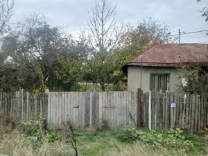 Casa de vânzare copaciu Giurgiu  - imagine 7