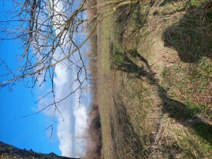 Teren intravilan de vănzare  FÎRLIUG  - imagine 3