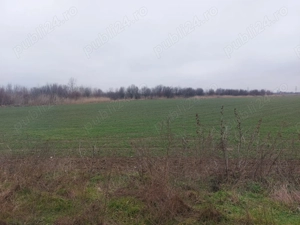 Teren Slatioara - imagine 4