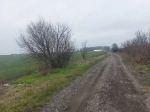 Teren Slatioara - imagine 5