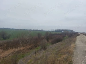 Teren Slatioara - imagine 6